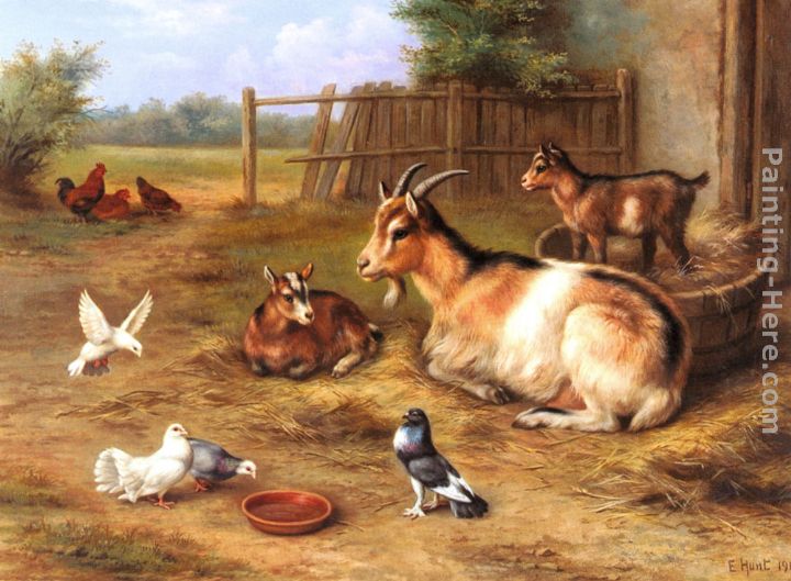 A Farmyard Scene with goats, chickens, doves painting - Edgar Hunt A Farmyard Scene with goats, chickens, doves art painting